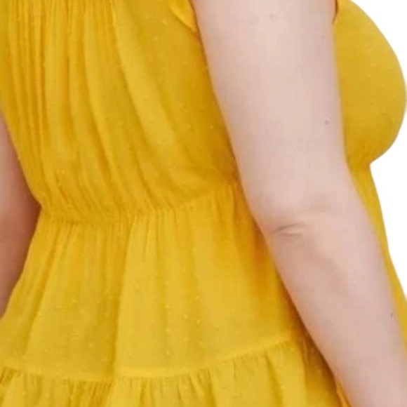 Torrid Babydoll Swiss flutter sleeve lace top - Picture 2 of 11